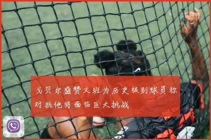 戈贝尔盛赞文班为历史级别球员称对抗他将面临巨大挑战